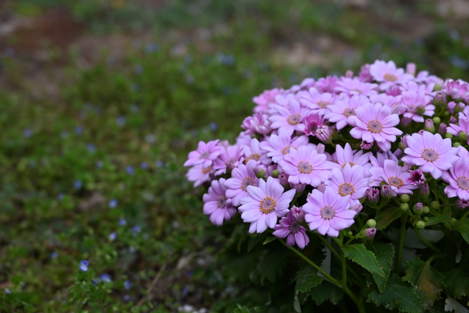 DSC_0711.jpg